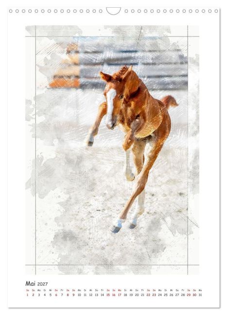 InsideView 10