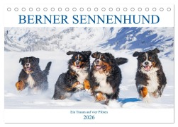 Cover-Bild zum Titel 'Berner Sennenhund - Ein Traum auf vier Pfoten (Tischkalender 2026 DIN A5 quer), CALVENDO Monatskalender' von 'Sigrid Starick'