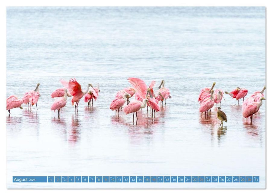 InsideView 13
