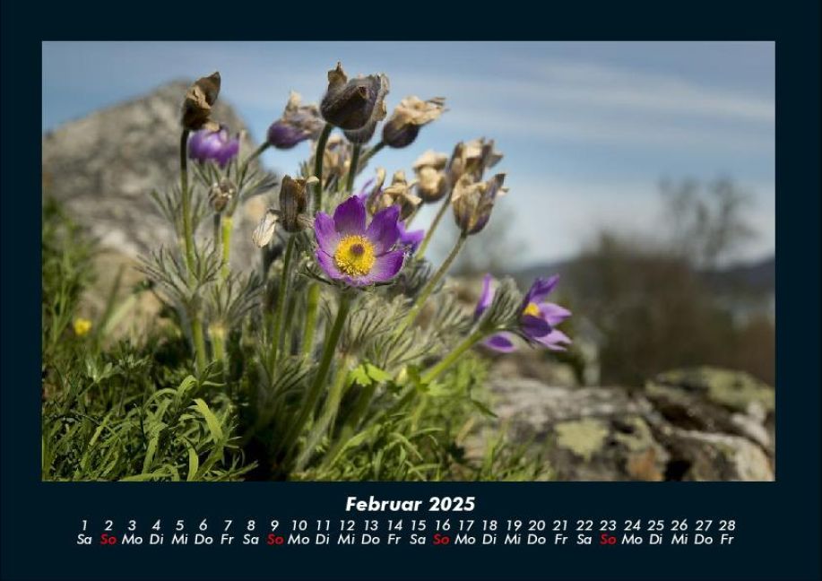 InsideView 6