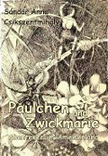 Cover-Bild zum Titel 'Paulchen und Zwickmarie - Abenteuer im Ameisenland' von 'Sándor Anna Csikszentmihály'