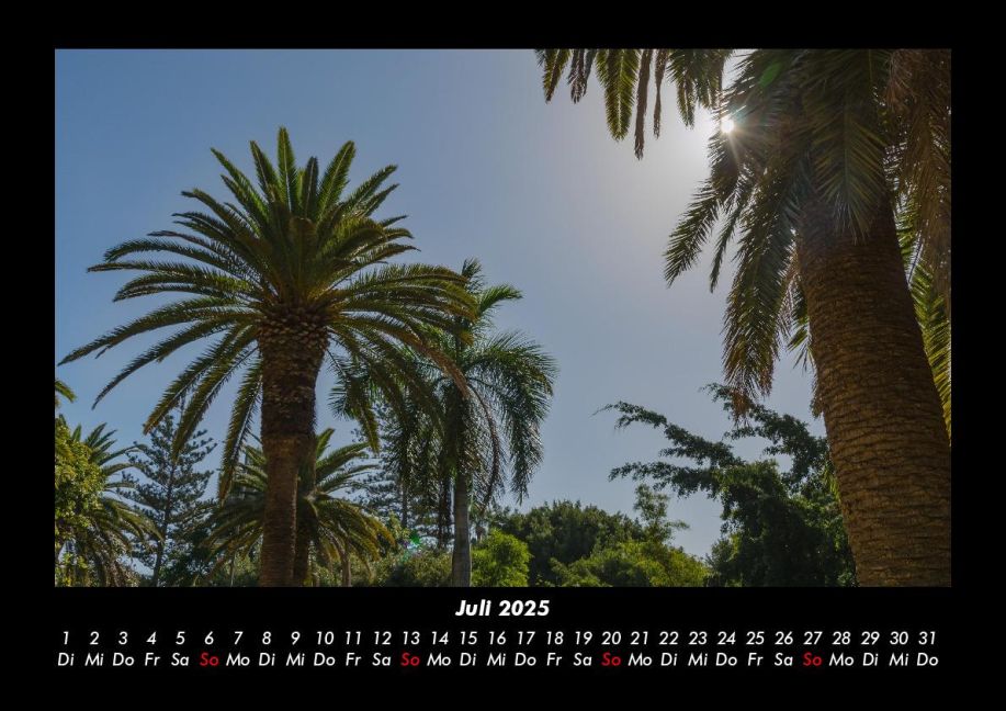InsideView 11