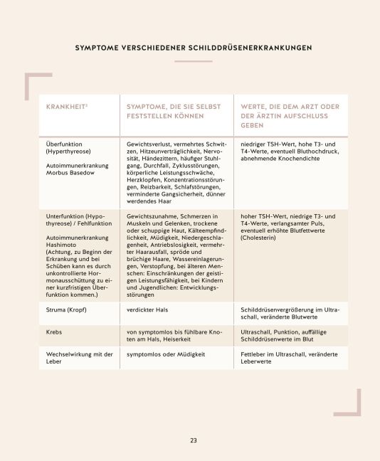 InsideView 26