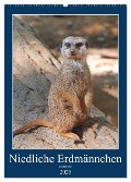 Niedliche Erdmännchen (Wandkalender 2025 DIN A2 hoch), CALVENDO Monatskalender - Kattobello Kattobello