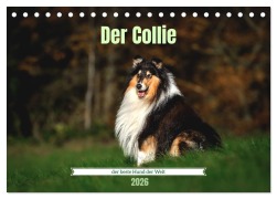 Cover-Bild zum Titel 'Der Collie der beste Hund der Welt (Tischkalender 2026 DIN A5 quer), CALVENDO Monatskalender' von 'Yvonne Janetzek'