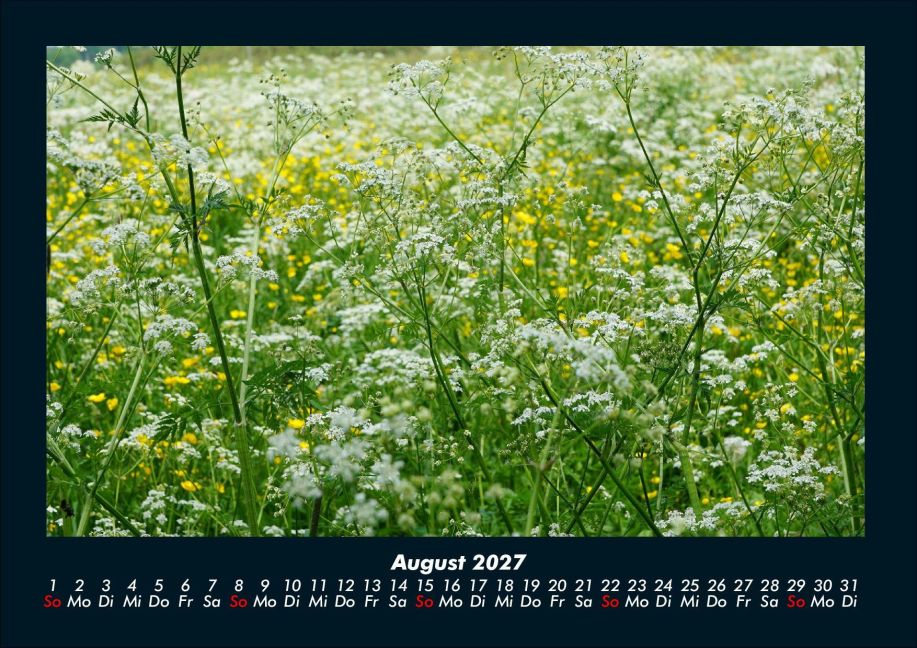 InsideView 12