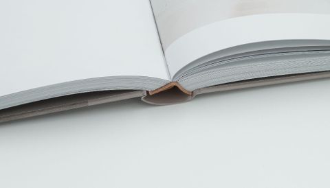 InsideView 3