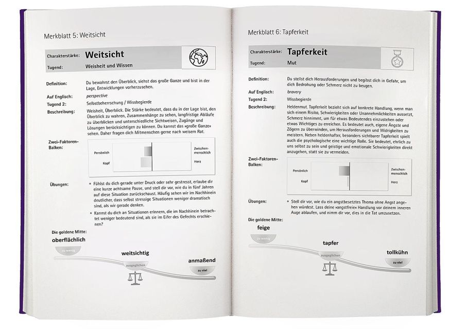 InsideView 7