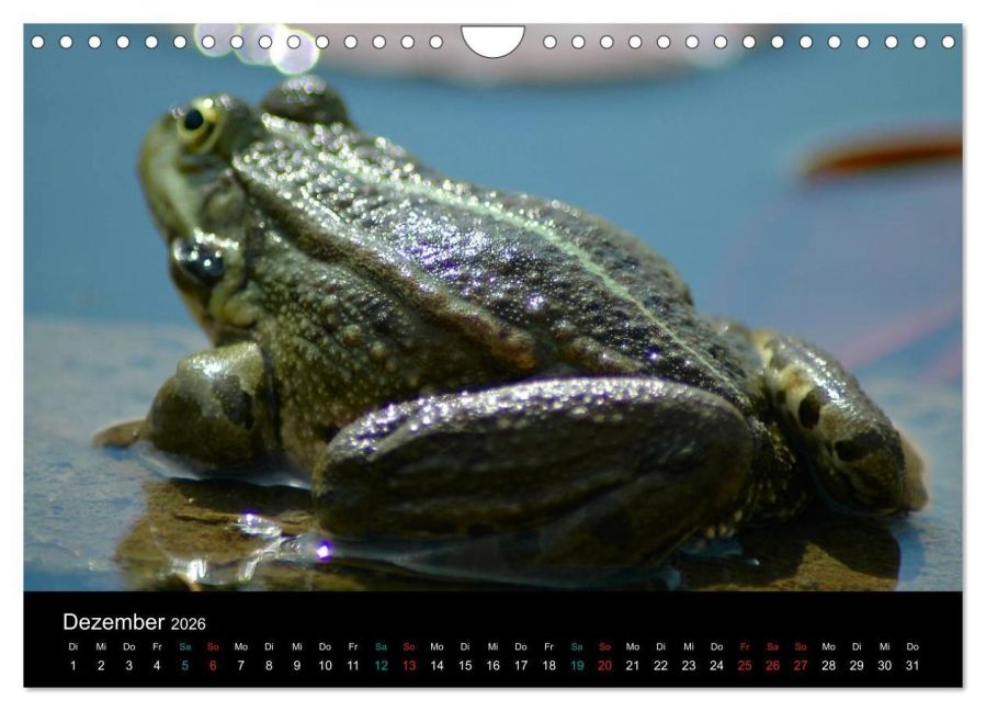 InsideView 4
