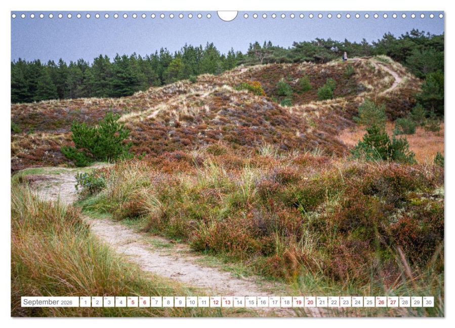 InsideView 14