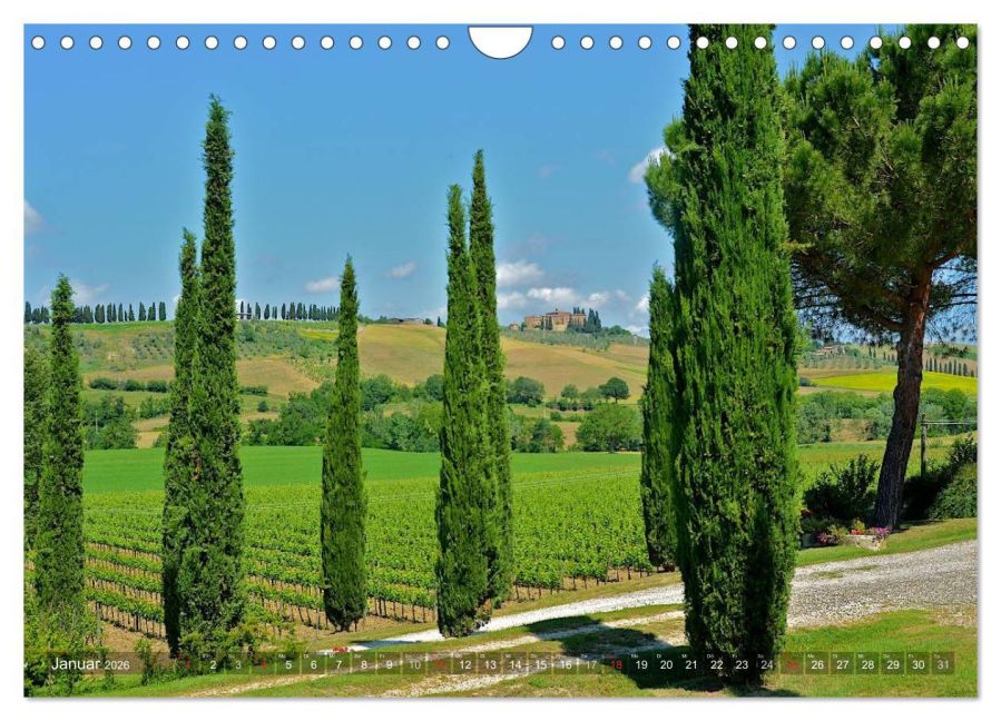 InsideView 6