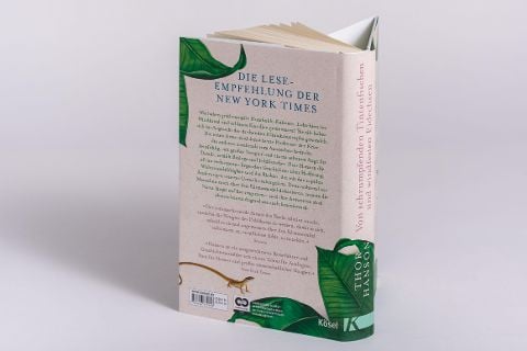 InsideView 5