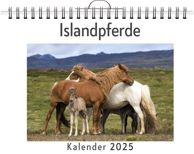 Islandpferde - Sophia Huber