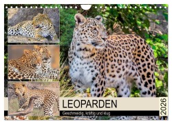Cover-Bild zum Titel 'Leoparden. Geschmeidig, kräftig und klug (Wandkalender 2026 DIN A4 quer), CALVENDO Monatskalender' von 'Rose Hurley'
