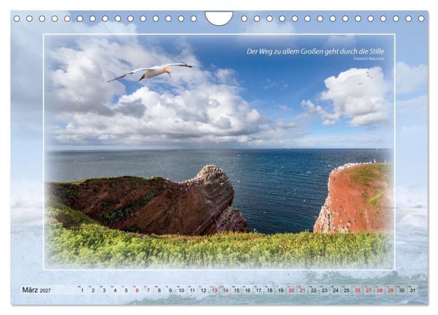 InsideView 8