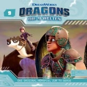 Folge 9: Es fliegt in der Familie / Der Netzmeister (Das Original-Hörspiel zur TV-Serie) - Thomas Karallus, Christian Wunderlich
