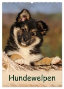 Cover-Bild zum Titel 'Hundewelpen (Wandkalender 2026 DIN A2 hoch), CALVENDO Monatskalender' von 'Katho Menden'