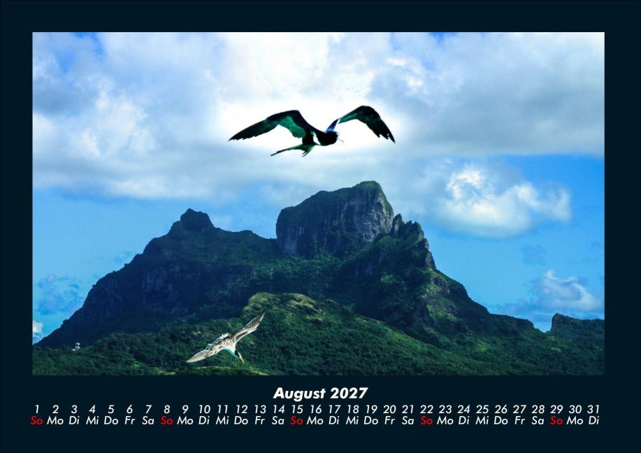 InsideView 12