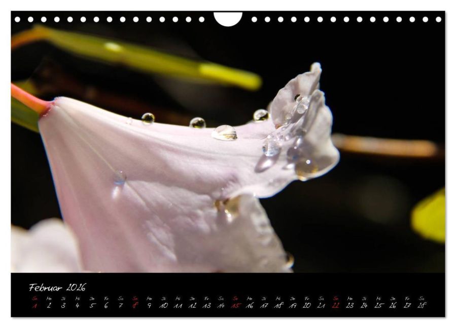 InsideView 7
