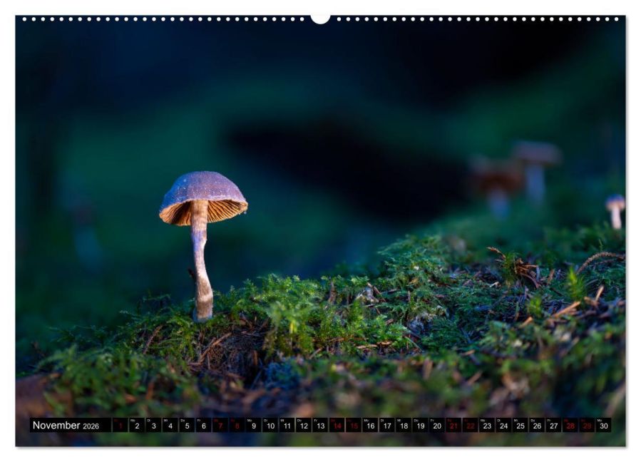 InsideView 3