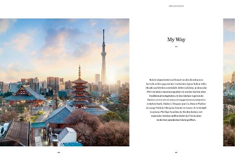 InsideView 2
