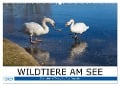 WILDTIERE AM SEE (Wandkalender 2025 DIN A2 quer), CALVENDO Monatskalender - U. Boettcher