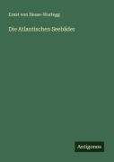 Die Atlantischen Seebäder - Ernst Von Hesse-Wartegg