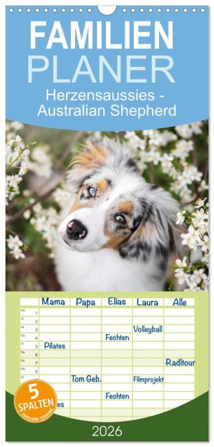 Familienplaner 2026 - Herzensaussies - Australian Shepherd mit 5 Spalten (Wandkalender, 21 x 45 cm) CALVENDO - Madlen Kudla