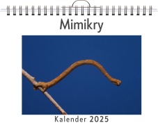 Cover-Bild zum Titel 'Mimikry' von 'Charlotte Klein'