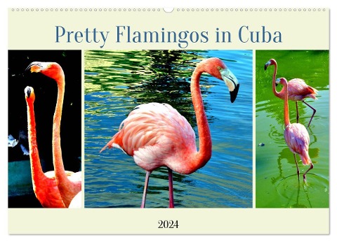 Pretty Flamingos in Cuba (Wandkalender 2024 DIN A2 quer), CALVENDO Monatskalender - Henning von Löwis of Menar