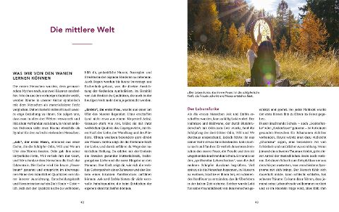 InsideView 3