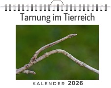 Cover-Bild zum Titel 'Tarnung im Tierreich' von 'Nora Koch'