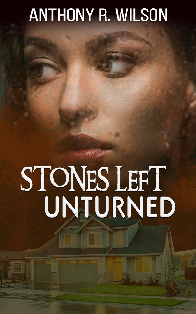 Stones Left Unturned (The Silhouette in the Dark City) - Anthony R. Wilson