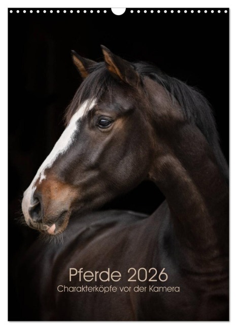 Pferde 2026 - Charakterköpfe vor der Kamera (Wandkalender 2026 DIN A3 hoch), CALVENDO Monatskalender - Paula Müller