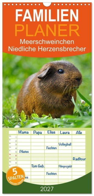 Familienplaner 2027 - Meerschweinchen Niedliche Herzensbrecher mit 5 Spalten (Wandkalender, 21 x 45 cm) CALVENDO - Elisabeth Stanzer