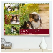 SHELTIES Liebe auf 4 Pfoten (hochwertiger Premium Wandkalender 2026 DIN A2 quer), Kunstdruck in Hochglanz - Marion Reiß-Seibert