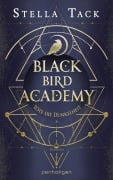Cover-Bild zum Titel 'Black Bird Academy - Töte die Dunkelheit' von 'Stella Tack'