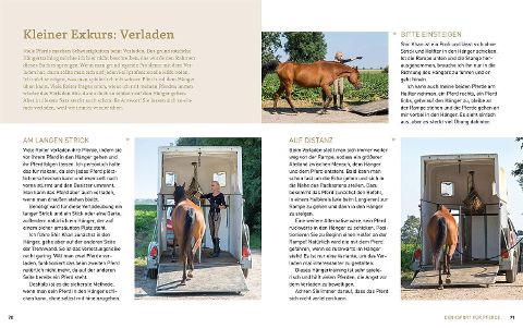 InsideView 5