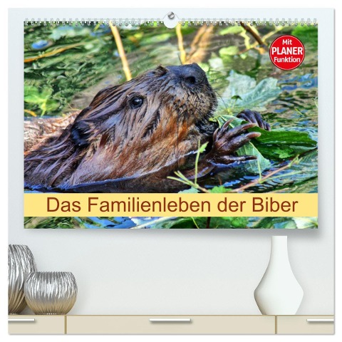 Das Familienleben der Biber (hochwertiger Premium Wandkalender 2025 DIN A2 quer), Kunstdruck in Hochglanz - Kattobello Kattobello