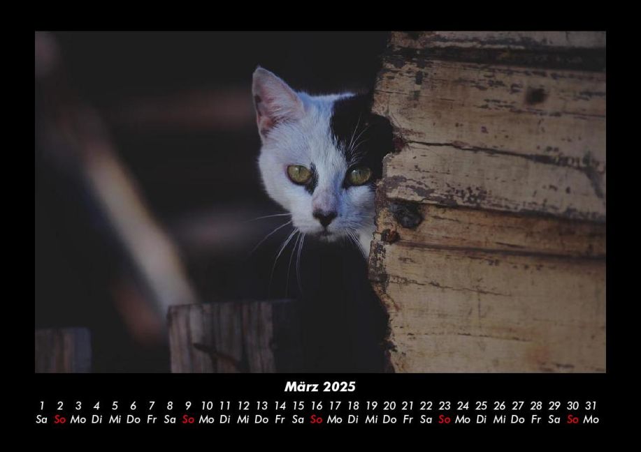 InsideView 7