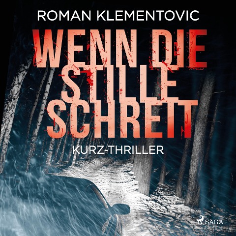 Wenn die Stille schreit - Roman Klementovic