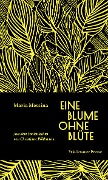 Cover-Bild zum Titel 'Eine Blume ohne Blüte' von 'Maria Messina'
