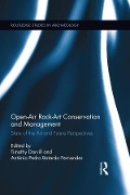 Cover-Bild zum Titel 'Open-Air Rock-Art Conservation and Management' von ''