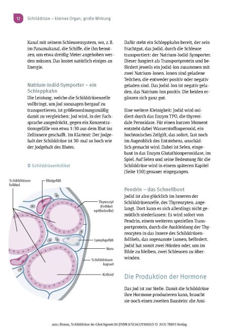 InsideView 6
