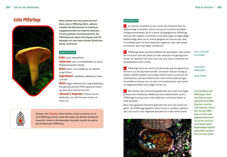 InsideView 5