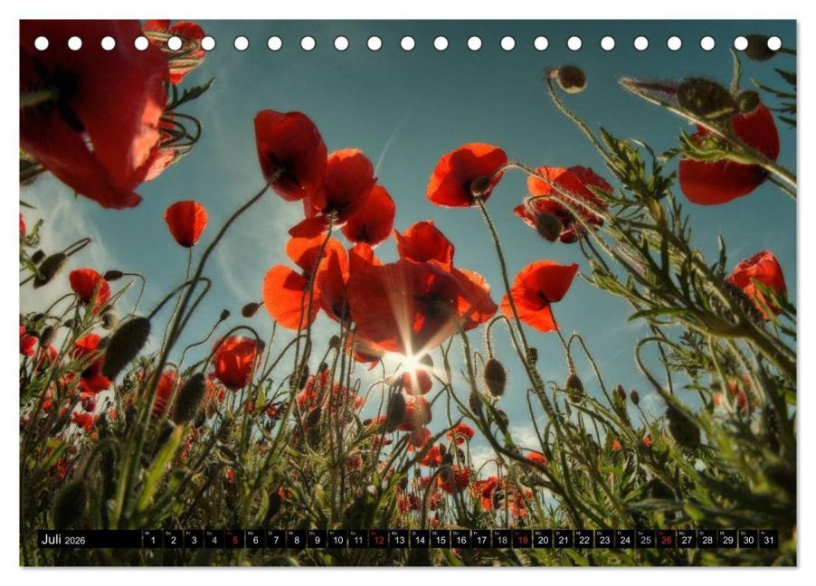 InsideView 12
