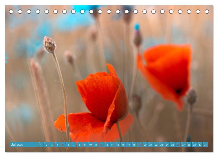 InsideView 12