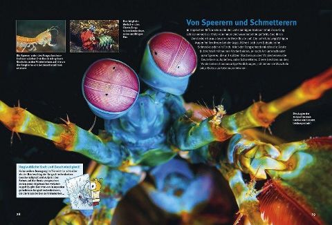 InsideView 2
