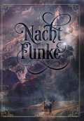 Cover-Bild zum Titel 'Nachtfunke' von 'Marion Hübinger'