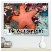 Cover-Bild zum Titel 'Die Welt der Riffe. Seesterne, Korallen, Anemonen (hochwertiger Premium Wandkalender 2026 DIN A2 quer), Kunstdruck in Hochglanz' von 'Elisabeth Stanzer'